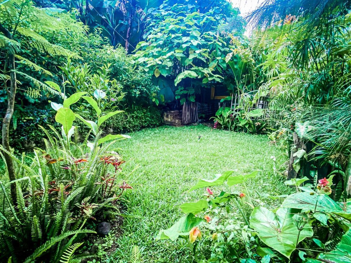 Unicorn Reborn - Peaceful Rentals San Marcos La Laguna Exteriör bild
