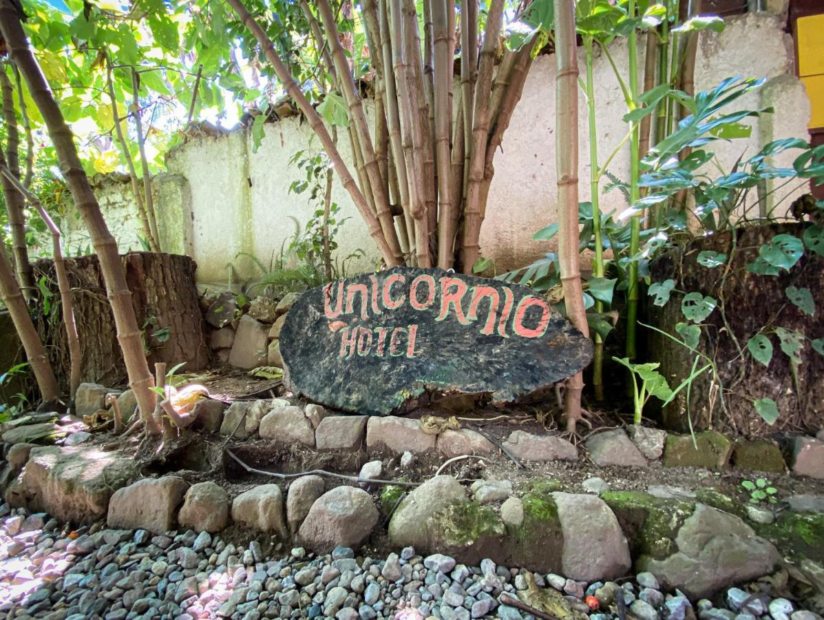 Unicorn Reborn - Peaceful Rentals San Marcos La Laguna Exteriör bild