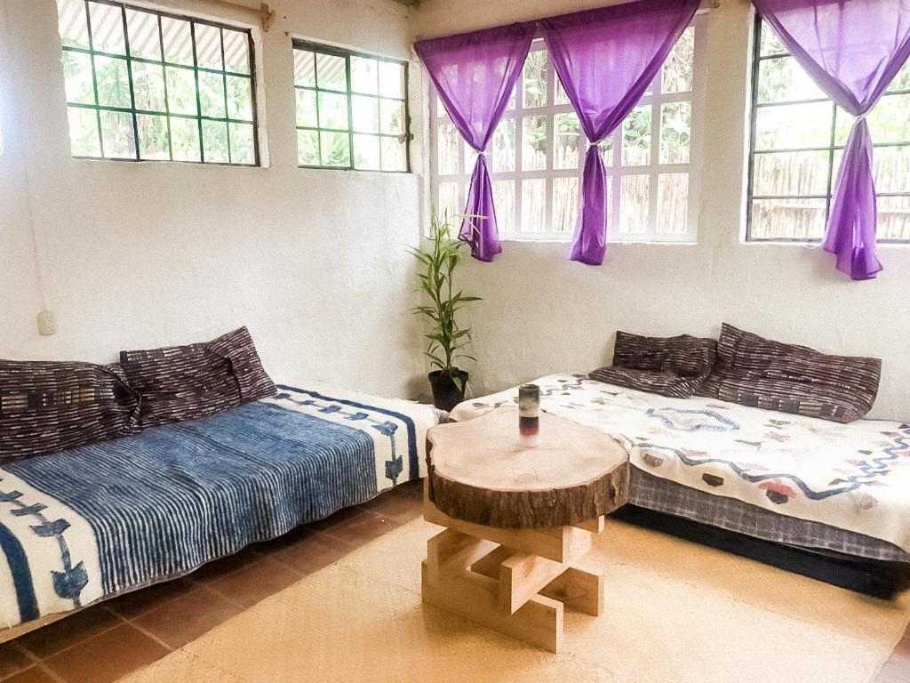 Unicorn Reborn - Peaceful Rentals San Marcos La Laguna Exteriör bild